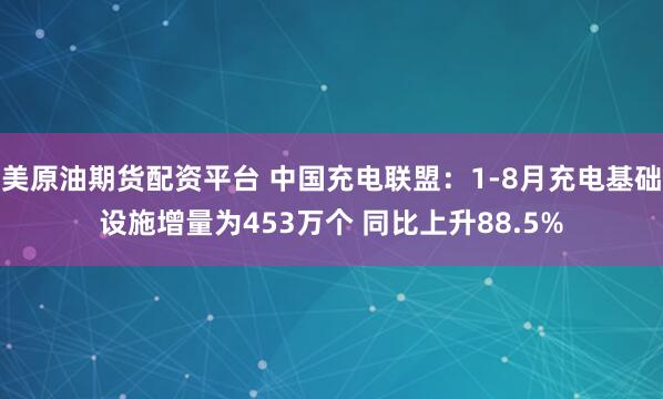 美原油期货配资平台 中国充电联盟：1-8月充电基础设施增量为453万个 同比上升88.5%
