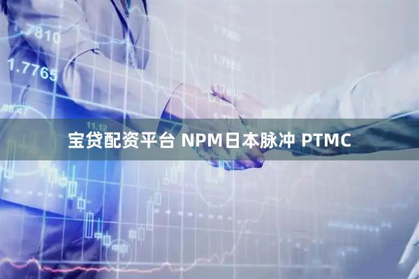 宝贷配资平台 NPM日本脉冲 PTMC