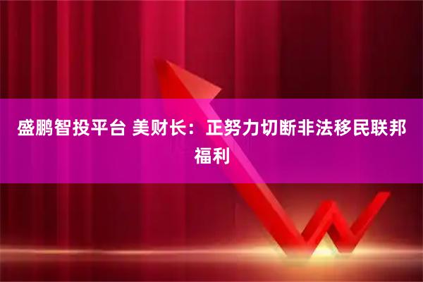 盛鹏智投平台 美财长：正努力切断非法移民联邦福利